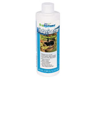 Feature Foam Free (8.5 oz.)